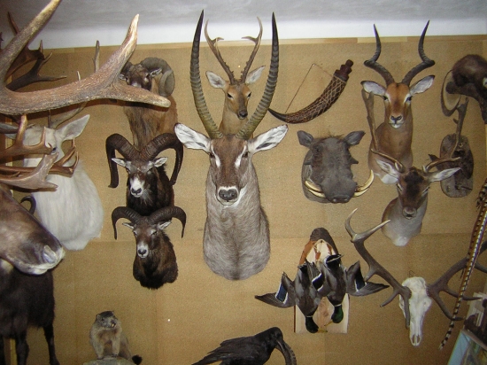 moje práce někdy před lety-archiv