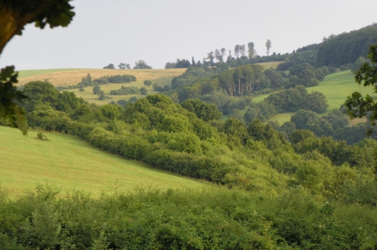 členitá krajina -srnčí oblast