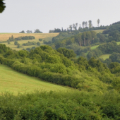 členitá krajina -srnčí oblast