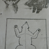 jak je správný řez- 2