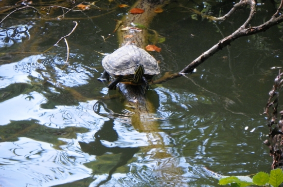 na potulkách u vody
