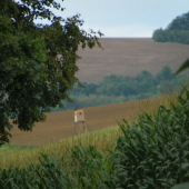 krajina mění tvář