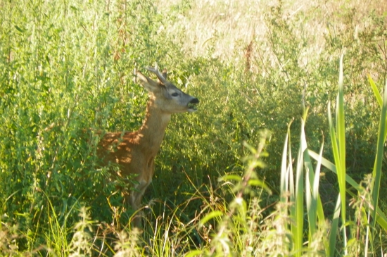 setkání pod posedem