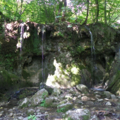 obrovi velké  oči, nos a vlasy