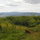 Moravsko Slovenské pomezí