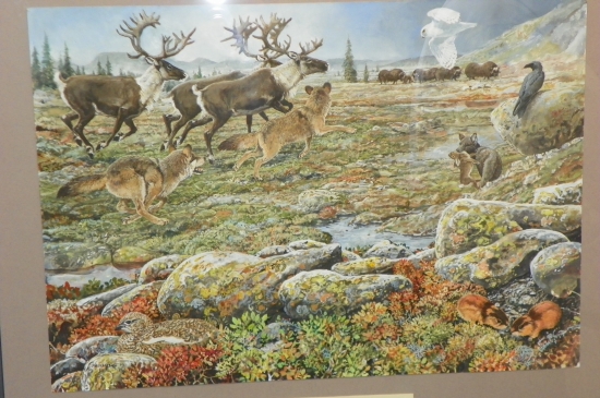 Pavel Procházka -odborná přírodovědná ilustrace