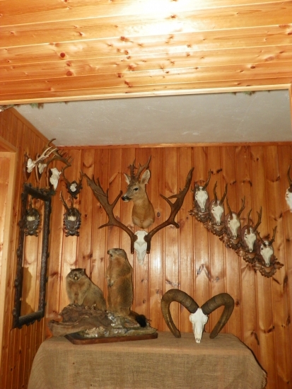 u mě na pracovišti