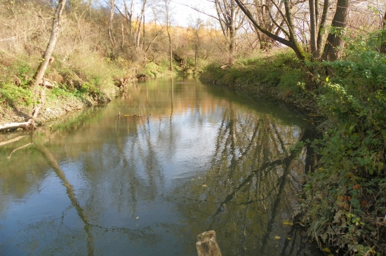 řeka Olšava