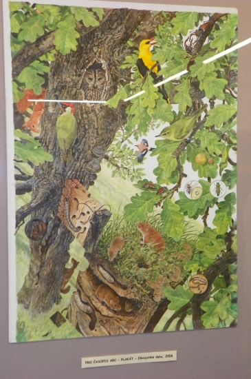 Pavel Procházka -odborná přírodovědná ilustrace