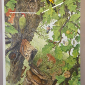 Pavel Procházka -odborná přírodovědná ilustrace