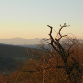 krajina je bez sněhu
