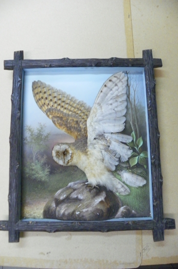 starý relief  se sovou pálenou