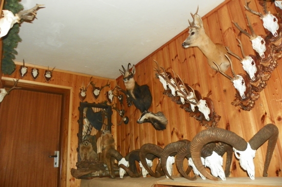 u mě na pracovišti