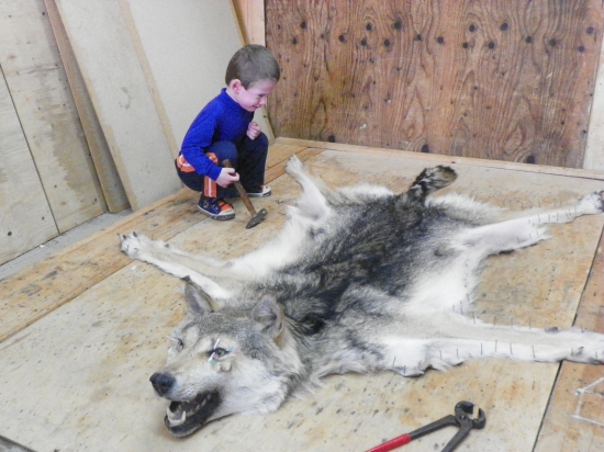 klepli  jsme se po prstě,ale vlka se nebojí