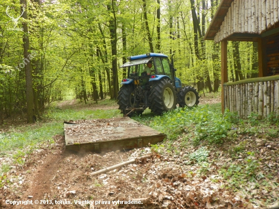 uklízíme v lese