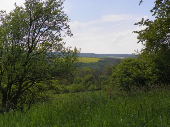 krajina u nás-srnčí oblast