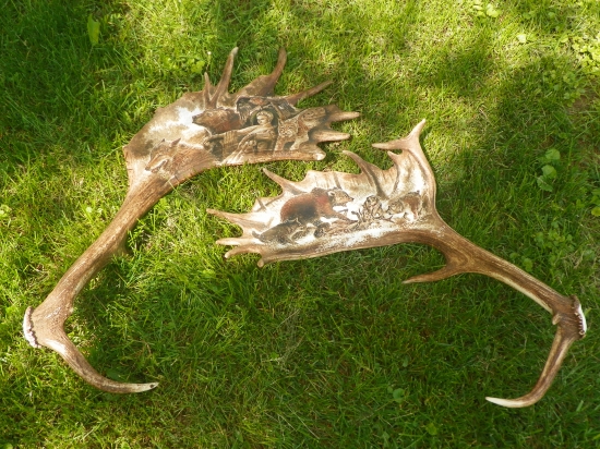 přišlo mě poštou-