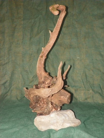 co nabízí les---hadi