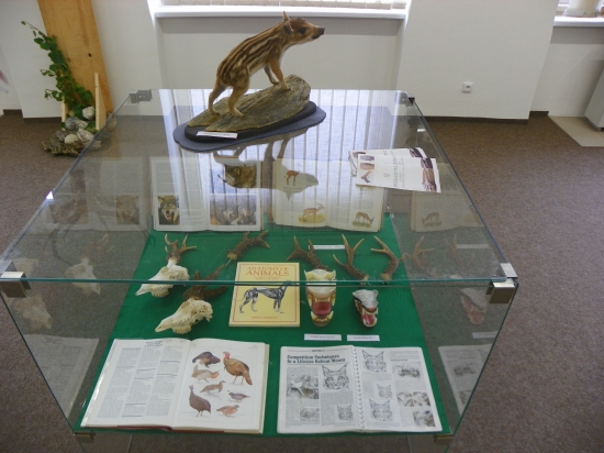 u nás v galerii-moje prezentace