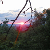 zapadá