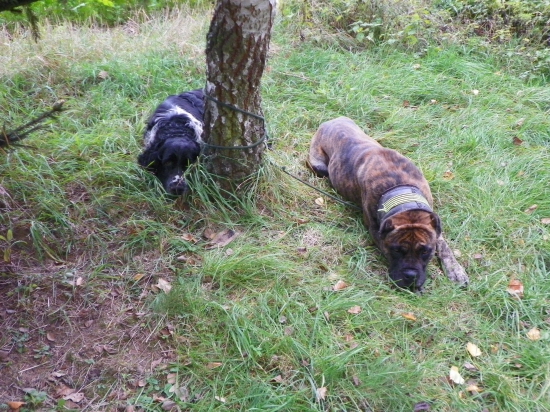 pracanti  odpočívají