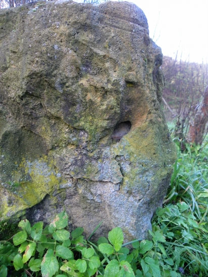 i kameny mají svoji tvář