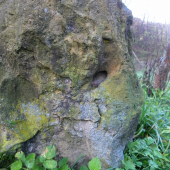 i kameny mají svoji tvář