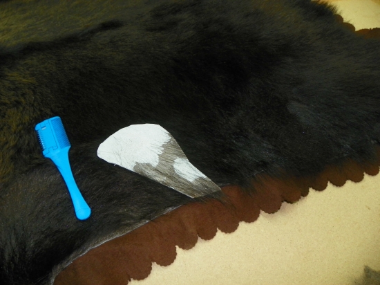 oprava kúže medvěda