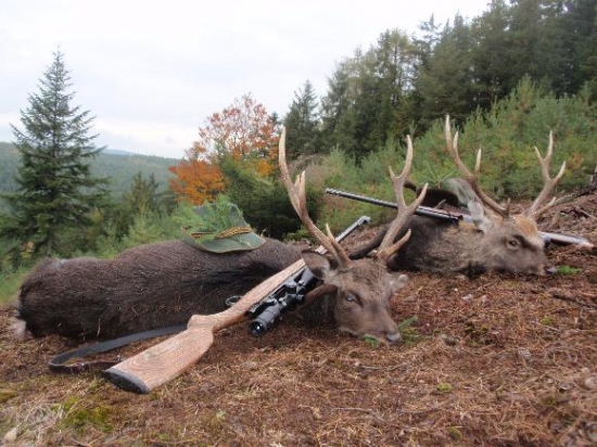 kamarádi lovili siku