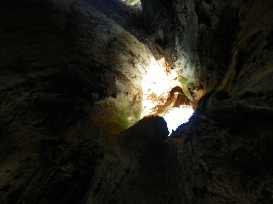 pohled do nitra staré vrby