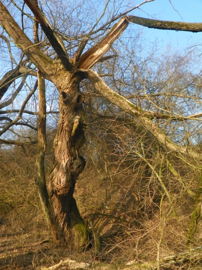 přírodou  Vlčnova-