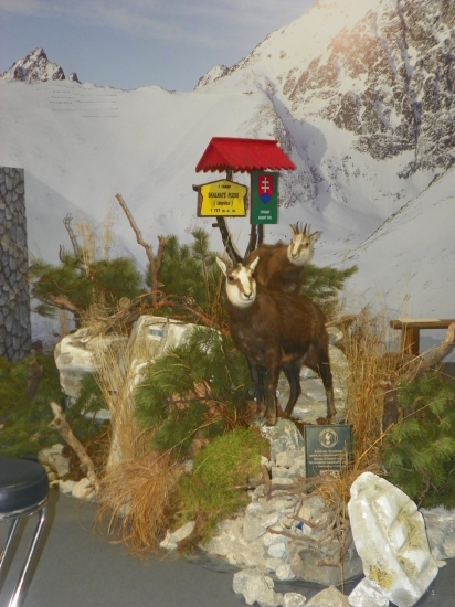 Incheba-Bratislava 2014