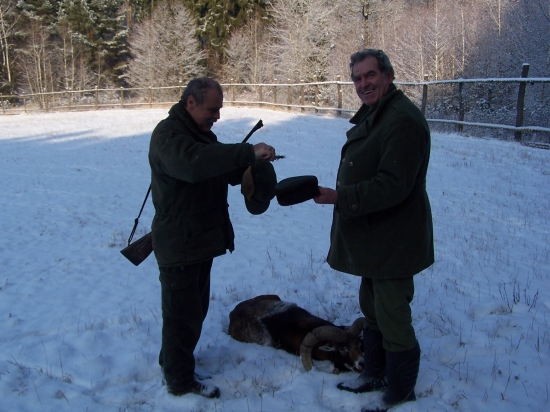 v Jižních Čechách