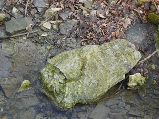 kámen ve tvaru medvědí hlavy