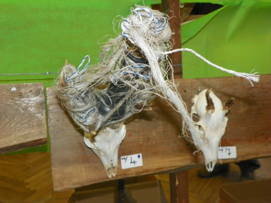 parukář vypadá jinak