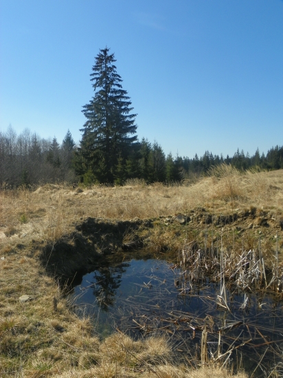 vodní túňka vysoko v horách