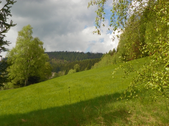 příroda v jarní zeleni