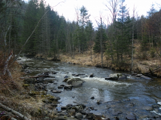 řeka protéká revírem o rozloze 25000 ha
