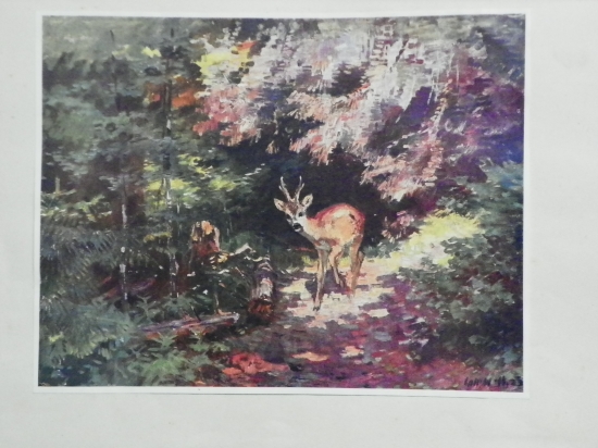 srnec na ochozu-Stanislav Lolek