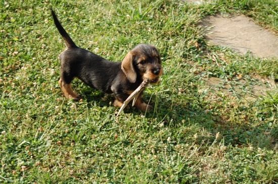 škola hrou-10 týdnú