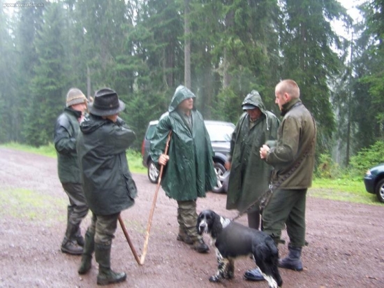 barvářské zkoušky