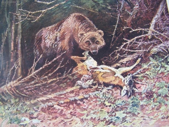 Stanislav Lolek  medvěd na újedi ,reprodukce