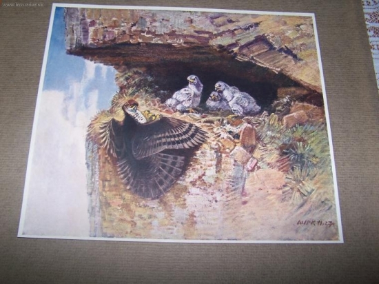 Stanislav Lolek -reprodukce