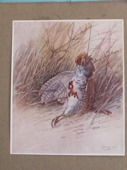 Stanislav Lolek -reprodukce