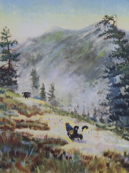 tetřívčí tok ve Vysokých Tatrách