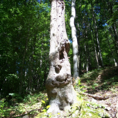 zaujal mě