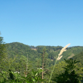krajina