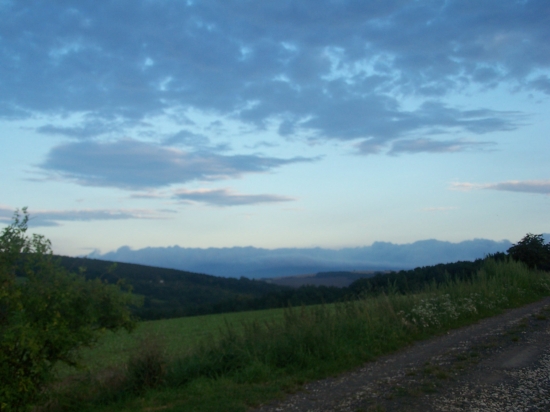 večerní krajina