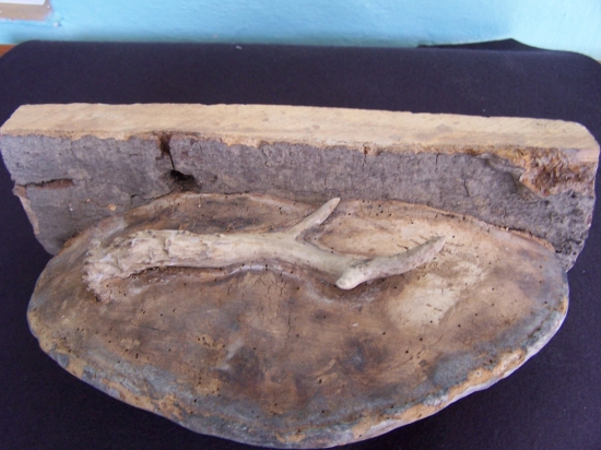 další důkaz o tom ,co je možné