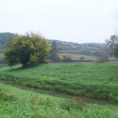 část našeho revíru s řekou Olšavou